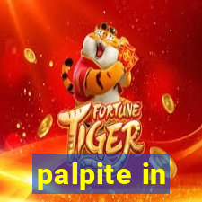 palpite in